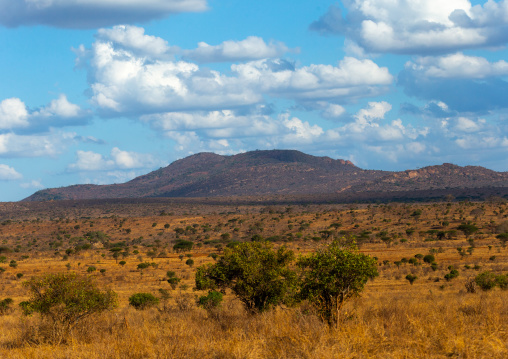 Landscape with mountains, Coast Province, Tsavo West National Park, Kenya