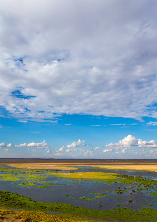 Swamp landscape, Kajiado County, Amboseli, Kenya