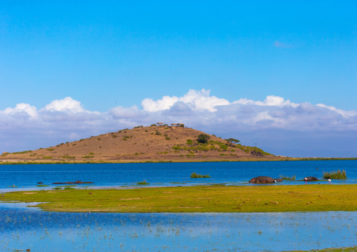 Swamp and mountain landscape, Kajiado County, Amboseli, Kenya