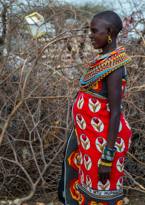 Portrait of a Samburu woman with a huge necklace, Samburu County, Samburu National Reserve, Kenya