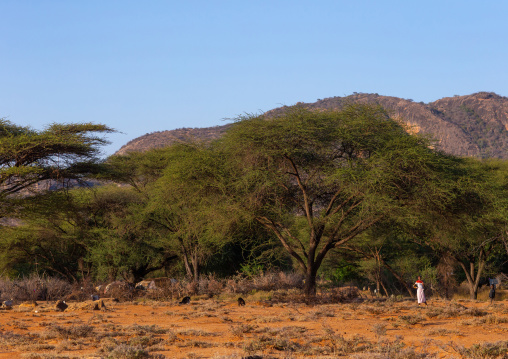 Samburu woman in a traditional village, Marsabit District, Ngurunit, Kenya