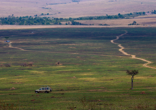Four wheel in the park, Rift Valley Province, Maasai Mara, Kenya