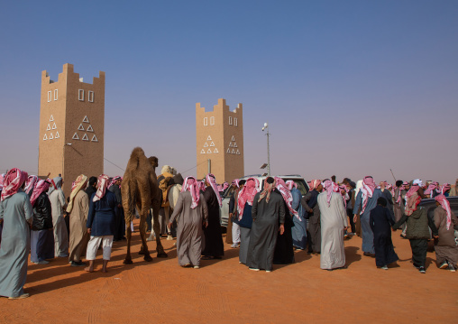 Beauty contest in King Abdul Aziz Camel Festival, Riyadh Province, Rimah, Saudi Arabia