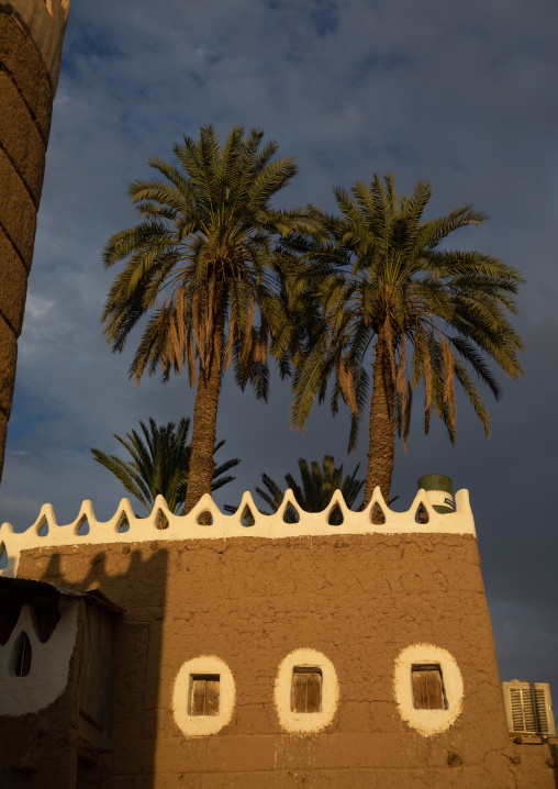 Traditional old mud house with palm trees, Najran Province, Najran, Saudi Arabia