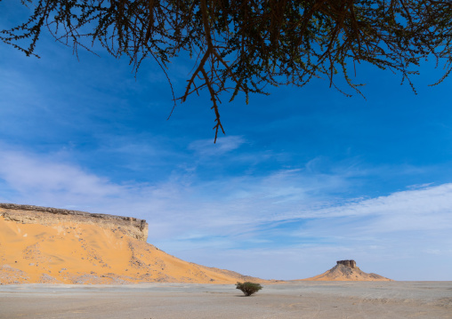Rub al Khali empty quarter desert, Najran Province, Khubash, Saudi Arabia