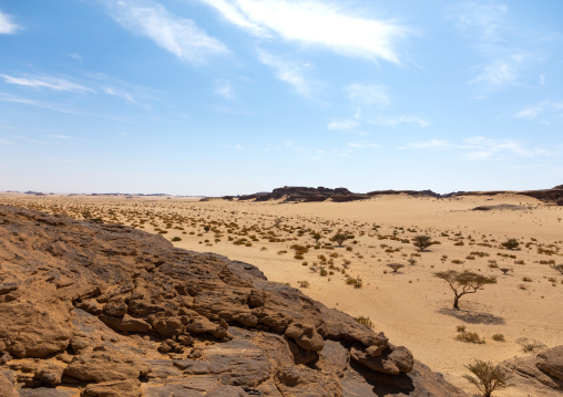 Dry landscape in the desert, Najran Province, Thar, Saudi Arabia