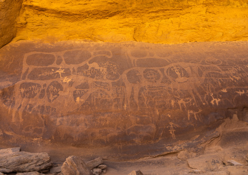 Petroglyphs on a rock depicting cows, Najran Province, Thar, Saudi Arabia
