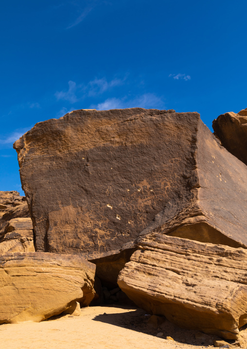 Petroglyphs on a rock depicting animals, Najran Province, Thar, Saudi Arabia