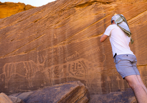 Petroglyphs on a rock depicting cows, Najran Province, Thar, Saudi Arabia