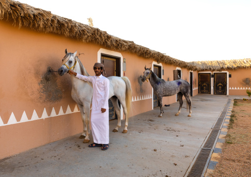 Saudi man with Arabian horses in Alhazm stud, Najran Province, Khubash, Saudi Arabia