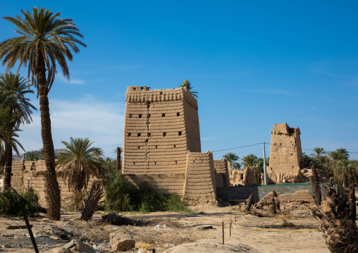 Traditional old mud houses with palm trees, Najran Province, Najran, Saudi Arabia