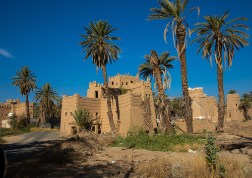 Traditional old mud houses with palm trees, Najran Province, Najran, Saudi Arabia