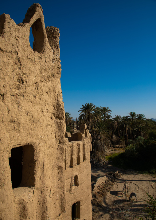 Traditional old mud houses, Najran Province, Najran, Saudi Arabia