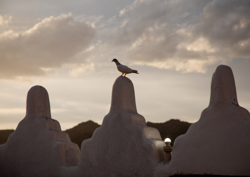 Doves on Emarah palace crenels, Najran Province, Najran, Saudi Arabia