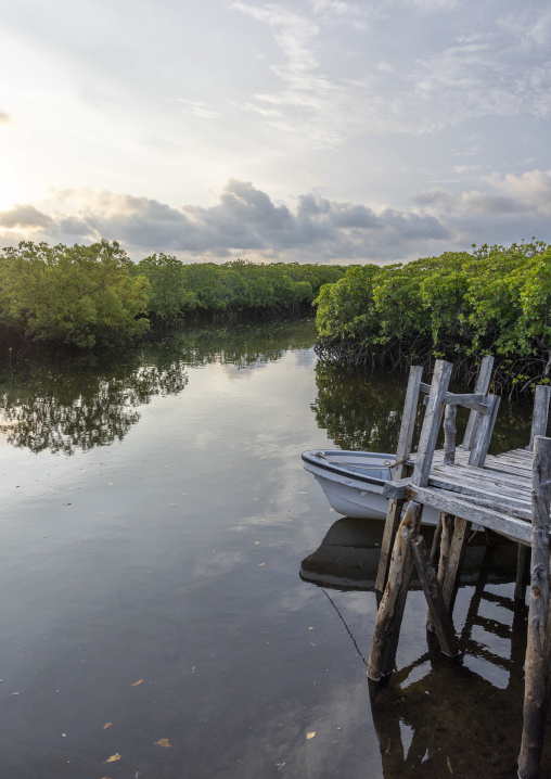 Mangrove landscape, Lamu County, Manda island, Kenya