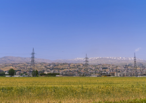 Electric pylons in a field, Beqaa Governorate, Rayak, Lebanon