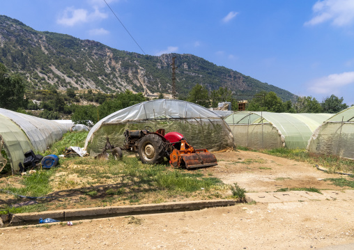 Greenhouses in the valley, Mount Lebanon, Bsatin Al-Ossi, Lebanon