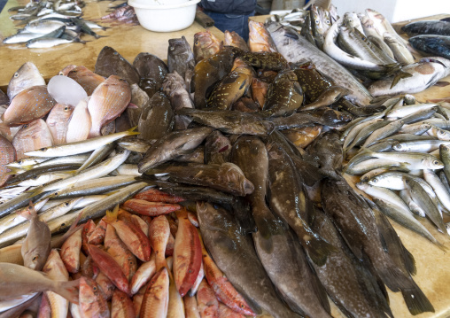 Fishes in the local fish market, North Governorate, Tripoli, Lebanon