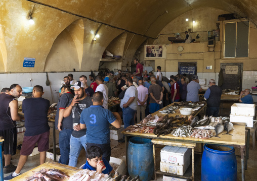 Auction in the fish market, North Governorate, Tripoli, Lebanon