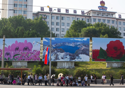 Row of North Korean propaganda billboards in the street, DGC, Pyongyang, North Korea