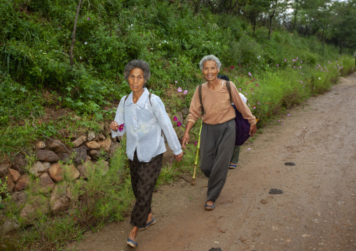 North Korean old women walking in the countryside, North Hwanghae, Kaesong, North Korea