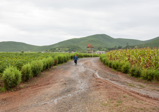 Boy walking on a muddy road in the countryside, North Hwanghae, Kaesong, North Korea