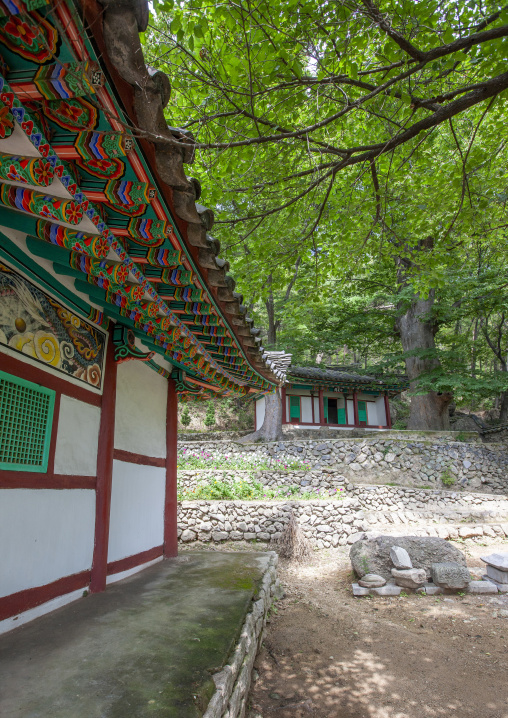 Buddhist temple, DGC, Pyongyang, North Korea