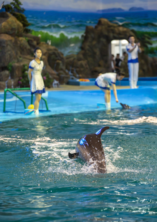 Dolphin show in Rungna dolphinarium, DGC, Pyongyang, North Korea