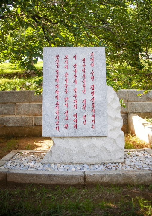 Monument about Kim Il Sung who counted fruits, South Pyongan, Chongsan-ri Cooperative Farm, North Korea