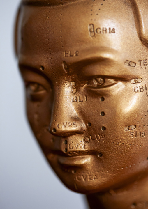 Accupuncture dummy in hospital, DGC, Pyongyang, North Korea