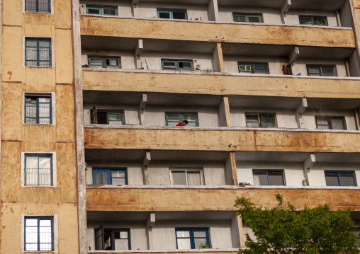 North Korean woman on the balcony of an apartement, DGC, Pyongyang, North Korea