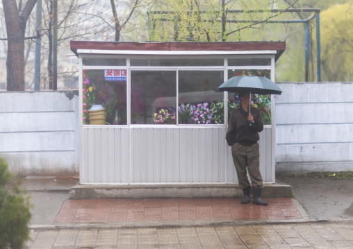 Man waiting in front of a flower shop, DGC, Pyongyang, North Korea