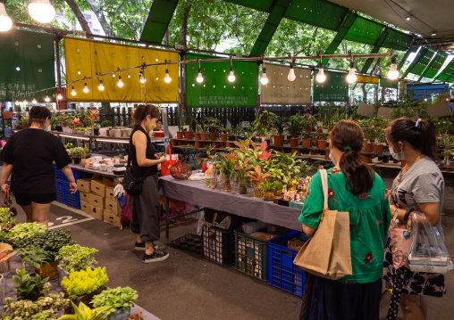 Jianguo holiday flower market, Daan District, Taipei, Taiwan