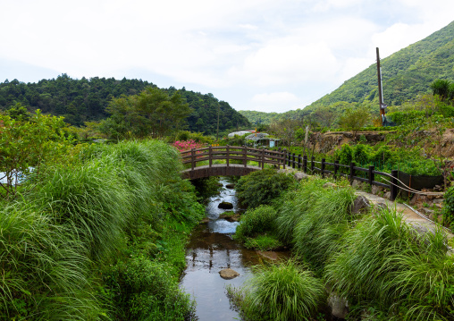 Wooden bridge at Zhu Zi Hu aka Bamboo lake, Beitou, Taipei, Taiwan