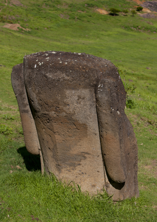Back of a moai head in rano raraku, Easter Island, Hanga Roa, Chile