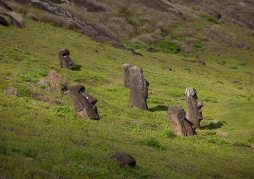 Moais in rano raraku, Easter Island, Hanga Roa, Chile