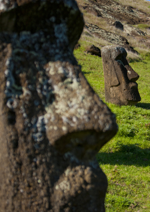 Moais in rano raraku, Easter Island, Hanga Roa, Chile