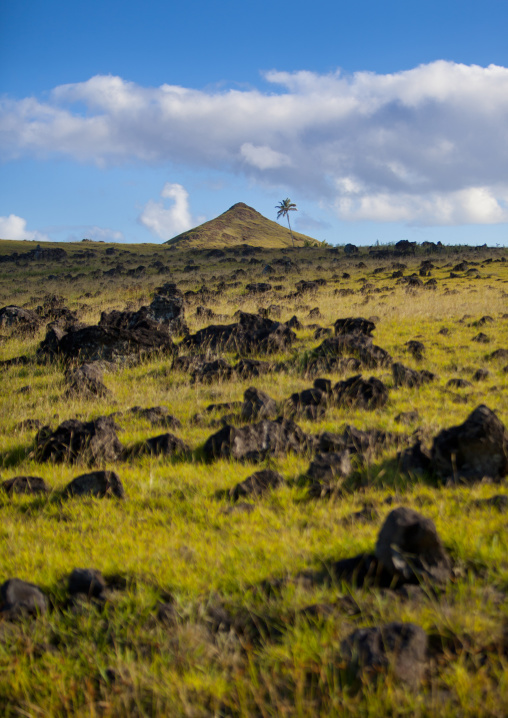 Easter island landscape, Easter Island, Hanga Roa, Chile