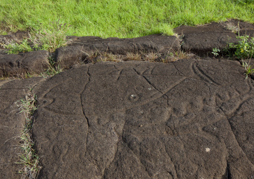 Tuna petroglyph in paka vaka rock art site, Easter Island, Hanga Roa, Chile