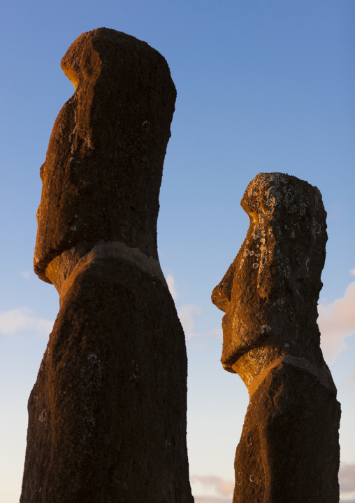 Moais in ahu akivi at sunset, Easter Island, Hanga Roa, Chile