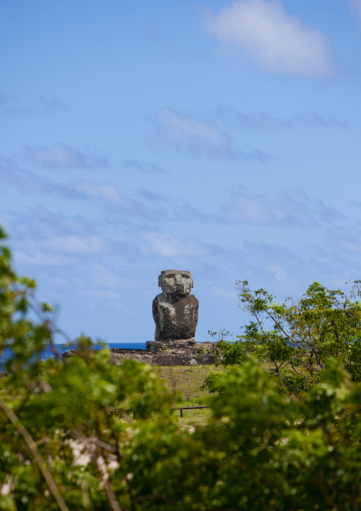Lone moai at anakena beach, Easter Island, Hanga Roa, Chile
