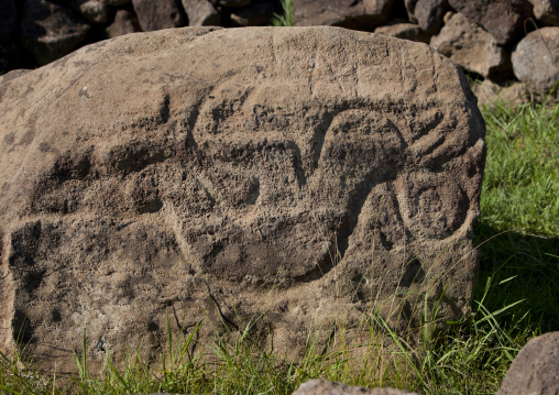 Petroglyph in rano kau, Easter Island, Hanga Roa, Chile
