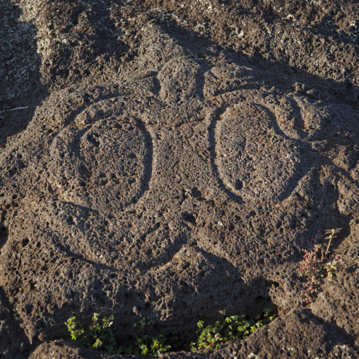 Petroglyph eyes in ahu tongariki, Easter Island, Hanga Roa, Chile