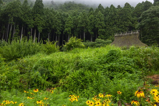 Thatched roofed house in a traditional village, Kyoto Prefecture, Miyama, Japan