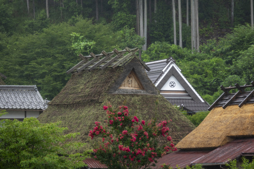 Thatched roofed house in a traditional village, Kyoto Prefecture, Miyama, Japan