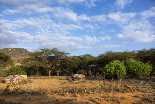 Traditional Rendille tribe huts stand among acacia trees below a rocky outcrop, Marsabit District, Ngurunit, Kenya