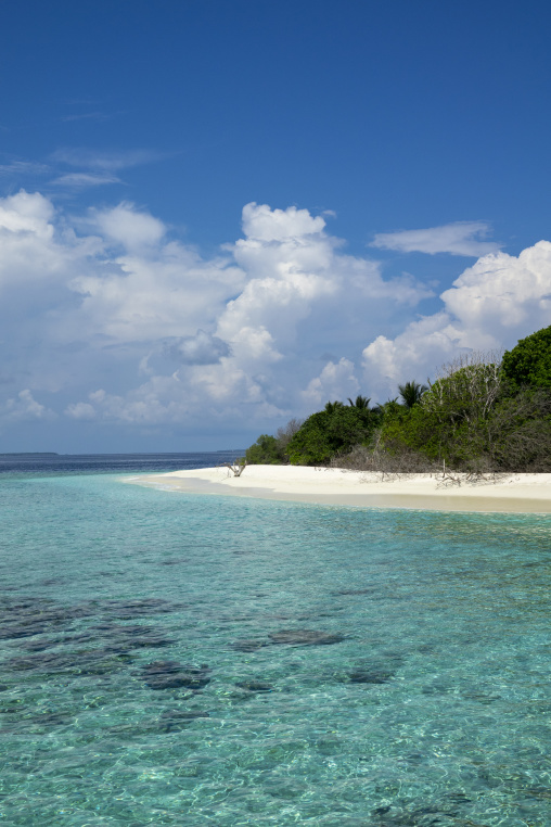 Turquoise lagoon meets a palm-lined white sand beach beneath a cloudy sky, Baa Atoll, Soneva Fushi, Maldives