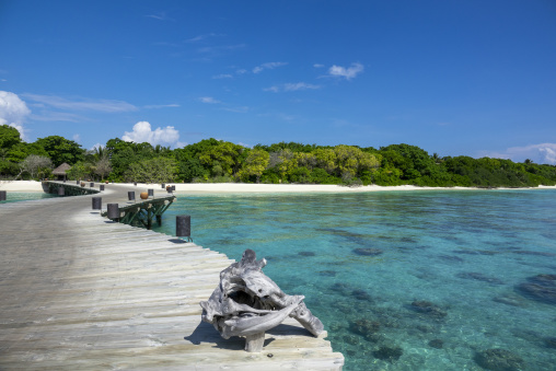 A piece of weathered driftwood rests on a wooden jetty above a turquoise lagoon, Baa Atoll, Soneva Fushi, Maldives