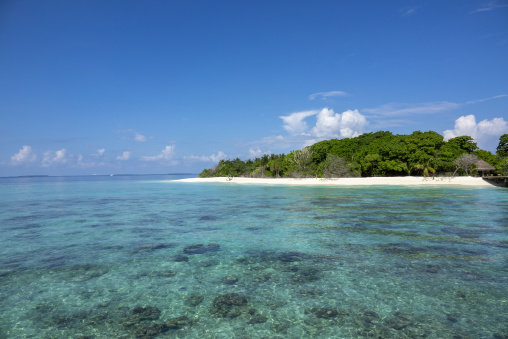 A small tropical island rises above a lagoon dotted with coral, Baa Atoll, Soneva Fushi, Maldives