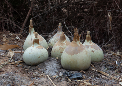 Calabashes used to cook food on fire, Namibe Province, Virei, Angola